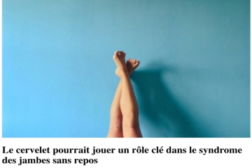 RÔLE DU CERVELET DANS LE SJSR