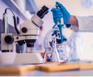 Prix du jeune chercheur 2024