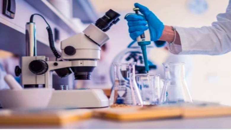 Prix du jeune chercheur 2024