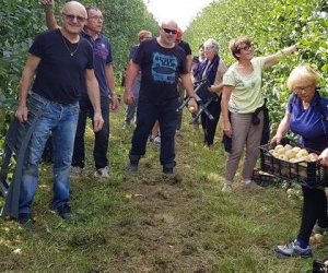 Solidarité - 5 280 kg de pommes vendues pour des opérations caritatives Solidarité - 5 280 kg de pommes vendues pour des opérations caritatives